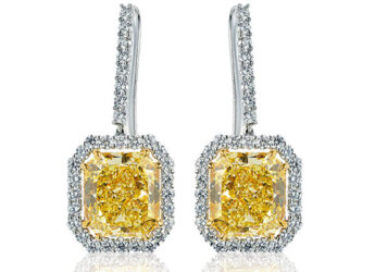 $1,000,000 earrings