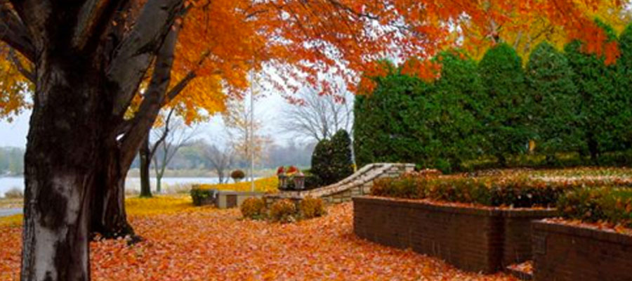 Blog-Fall-colors-2 Trees in the fall