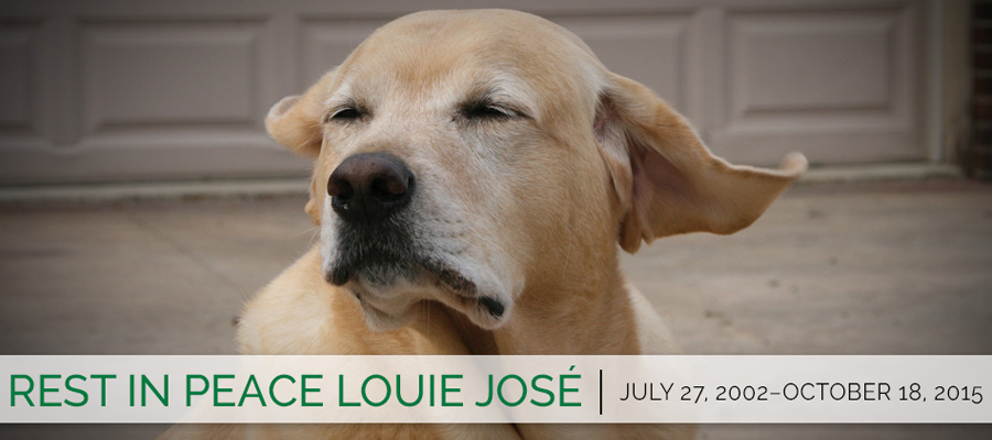 Blog-louie Rest in peace Louie José | July 27, 2002–October 18, 2015