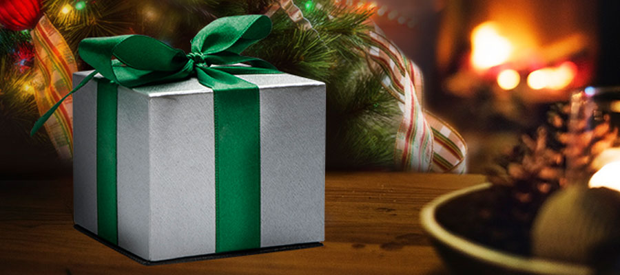 Blog-christmas Gift in front of the Christmas tree