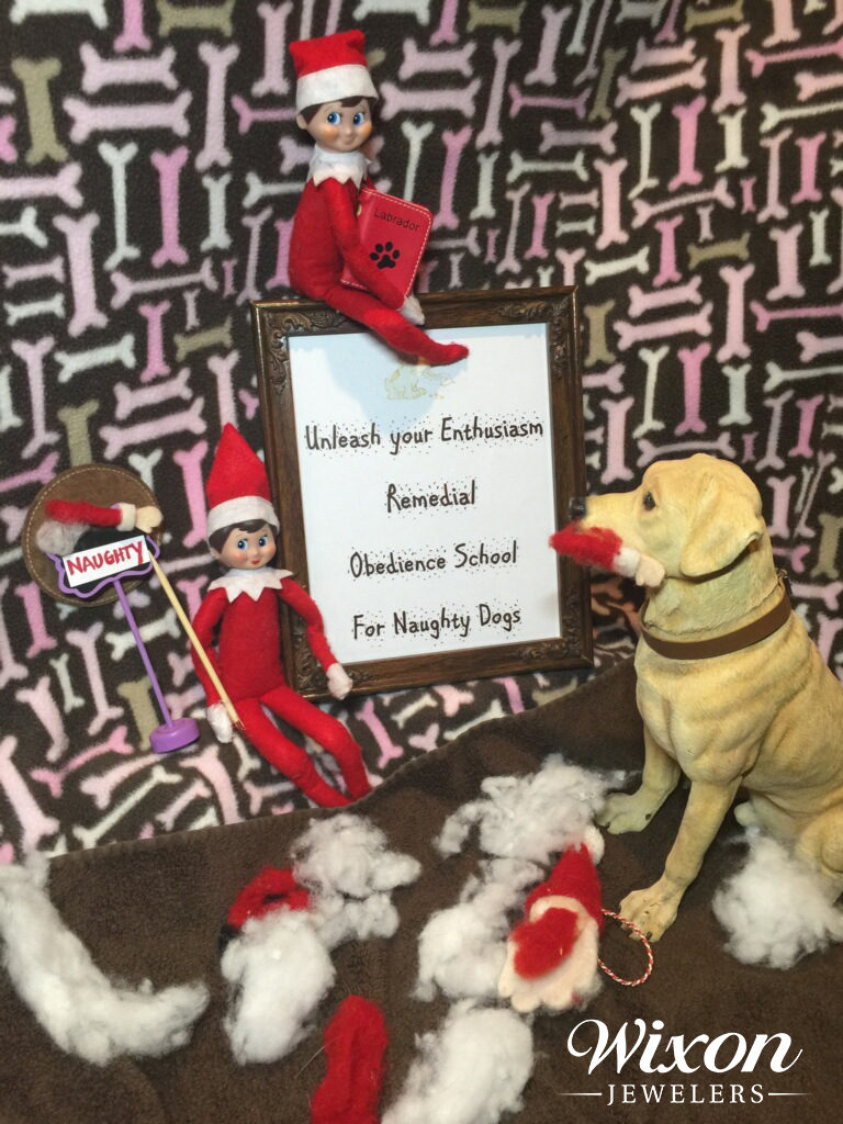 elf on the shelf ideas