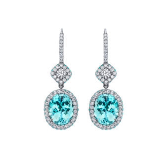 162563-1-paraiba-earrings