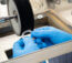 Watch Repair and Polishing in Minneapolis