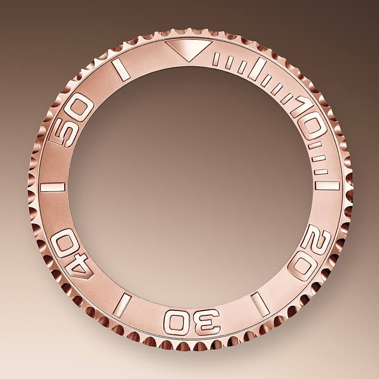 bidirectional_rotatable_bezel-oystersteel_and_everose_gold-50661