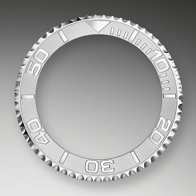 bidirectional_rotatable_bezel-oystersteel_and_platinum-50662