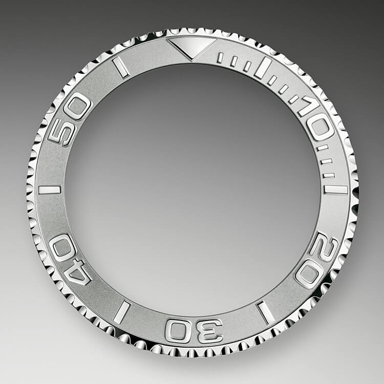 bidirectional_rotatable_bezel-oystersteel_and_platinum-51576