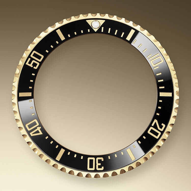ceramic_bezel_and_luminescent_display-oystersteel_and_yellow_gold-51719