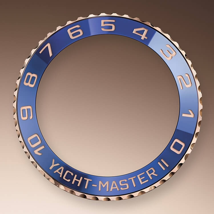 ring_command_bezel-oystersteel_and_everose_gold-44226