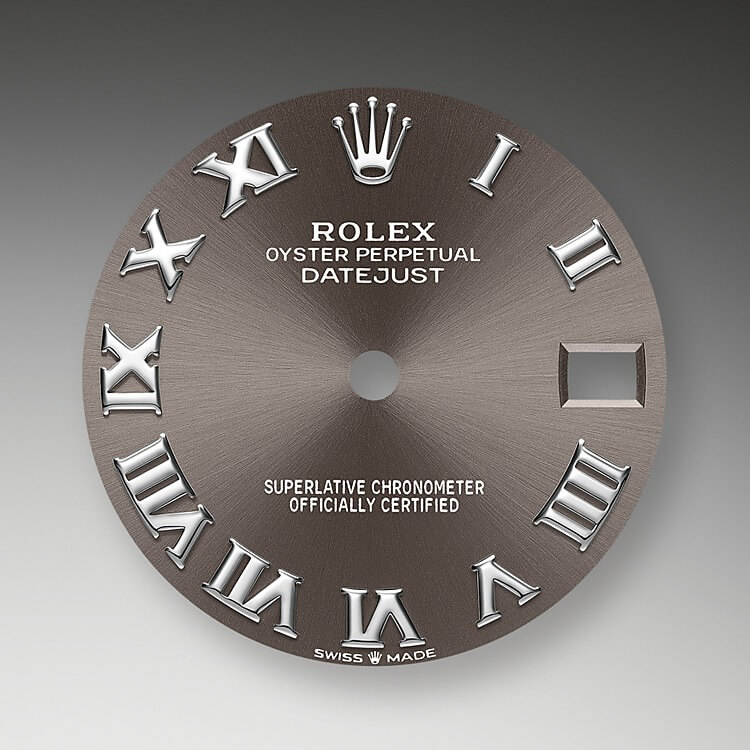 dark_grey_dial-oystersteel__white_gold_and_diamonds-52066_g_31