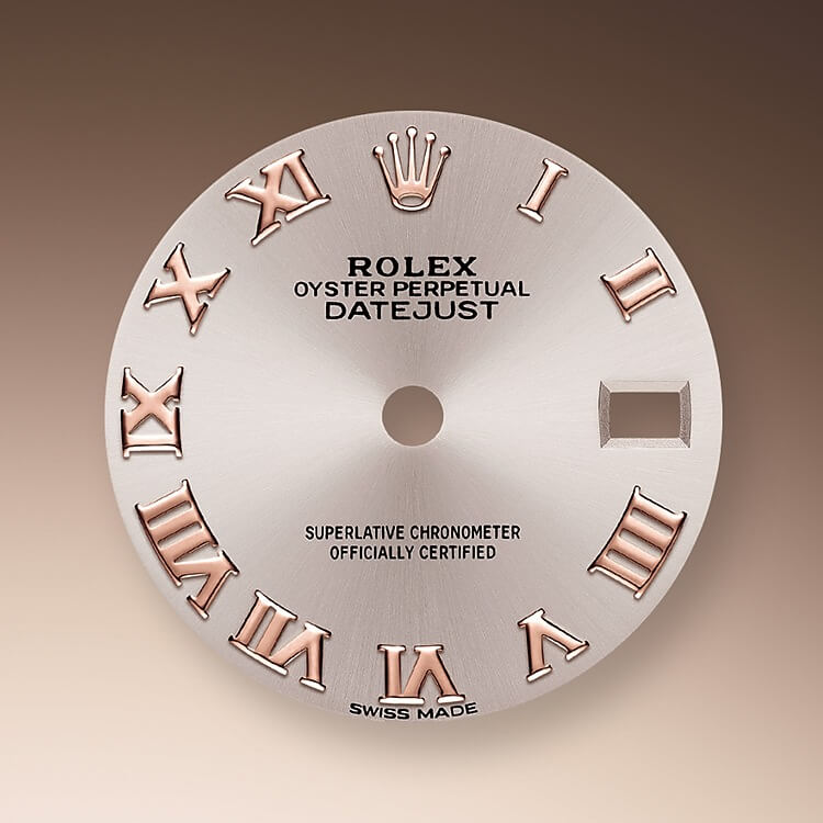 sundust_dial-oystersteel_and_everose_gold-50654_g_28