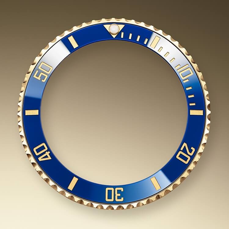 unidirectional_rotatable_bezel-oystersteel_and_yellow_gold-50895
