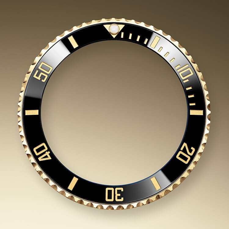 unidirectional_rotatable_bezel-oystersteel_and_yellow_gold-50896