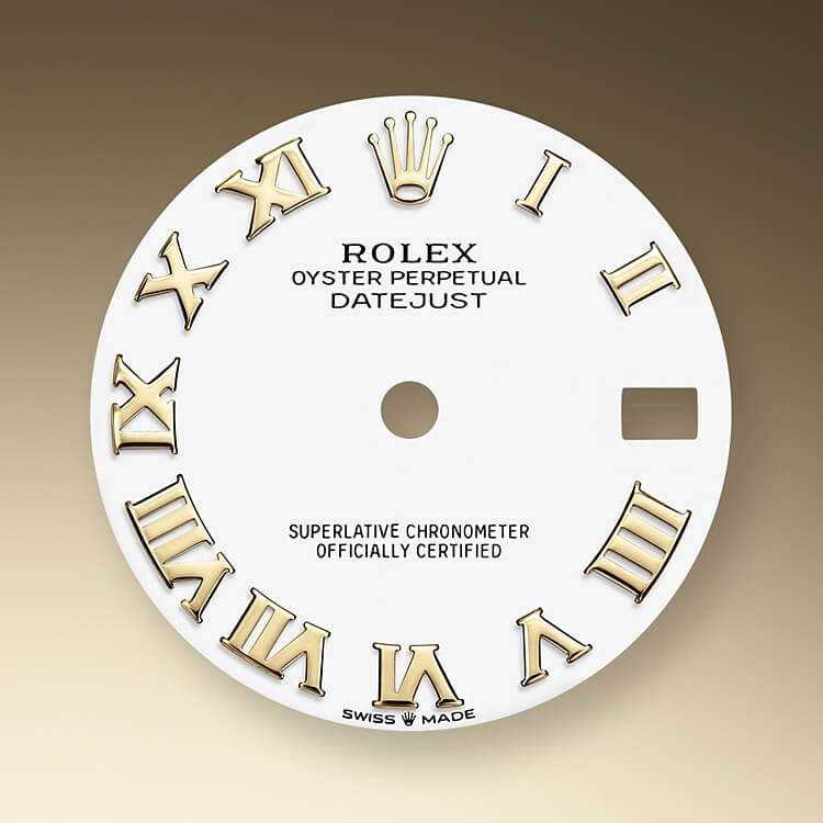 white_dial-oystersteel_and_yellow_gold-50738_g_31
