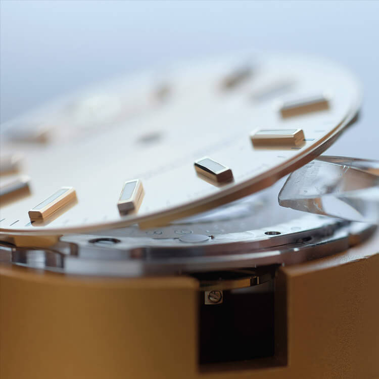 rolex-servicing-procedure-preparation-for-servicing_portrait