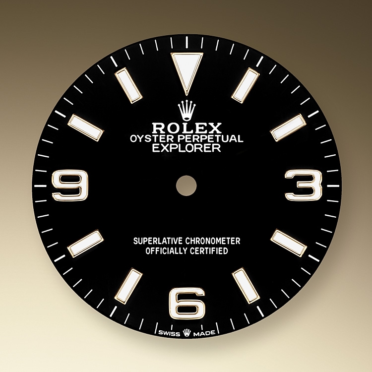 black_dial-oystersteel_and_yellow_gold-52145_g_36.jpg
