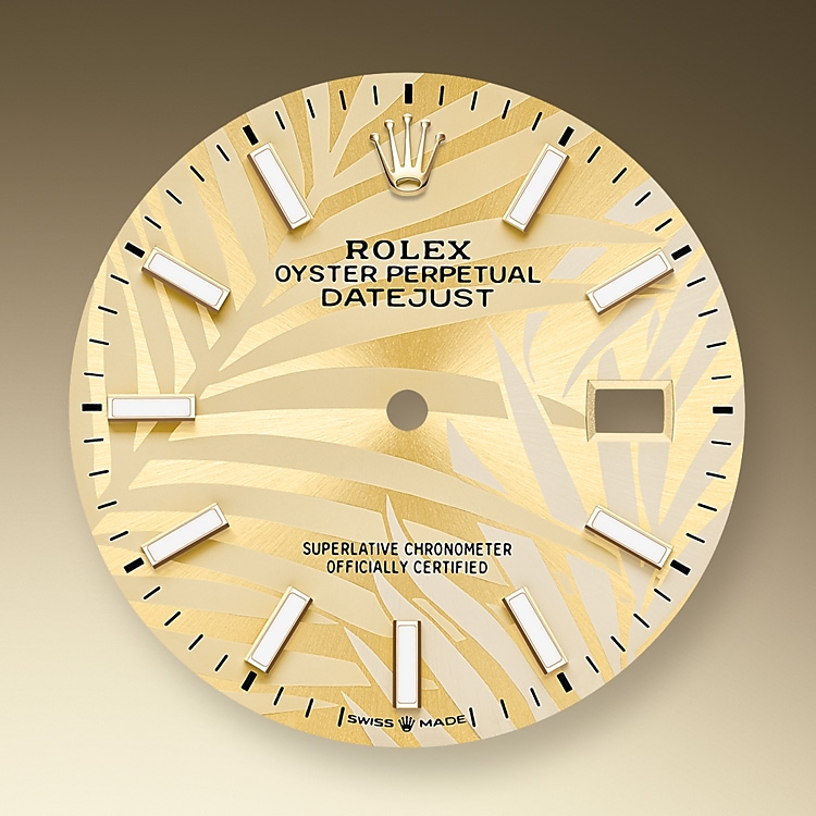golden_dial-oystersteel_and_yellow_gold-52492_g_36.jpg