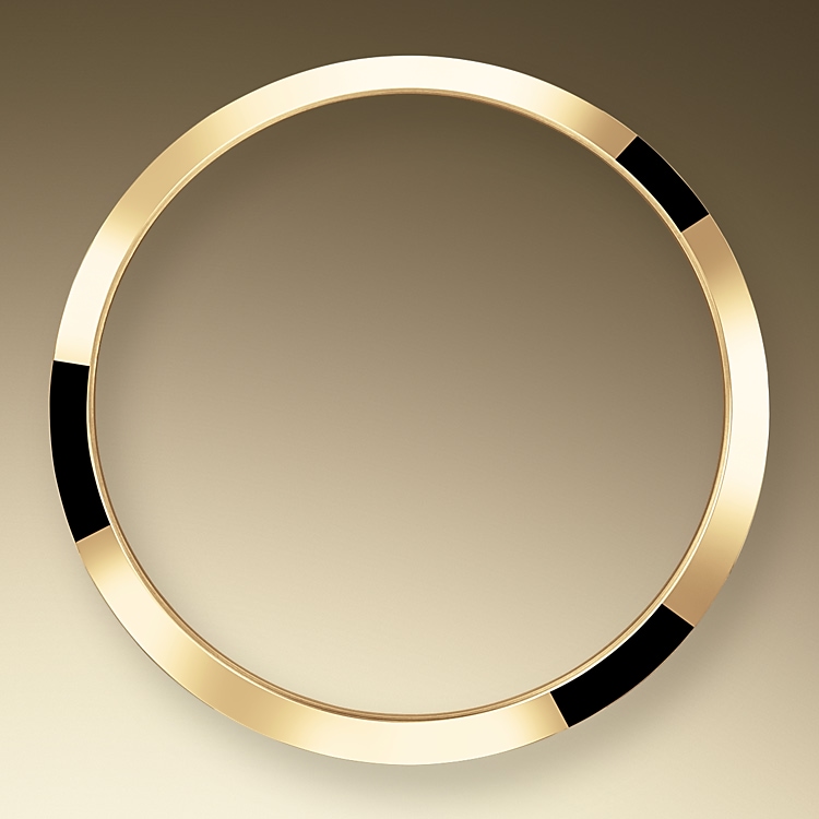 smooth_bezel-oystersteel_and_yellow_gold-52143.jpg