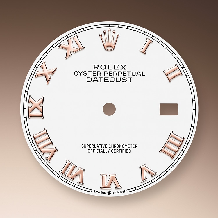 white_dial-oystersteel_and_everose_gold-50810_g_36.jpg