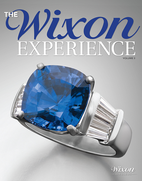 The Wixon Experience 2015 Cover Image