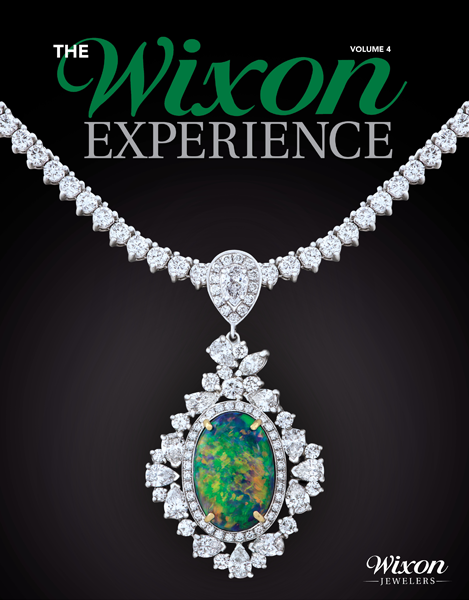 The Wixon Experience 2016 Cover Image