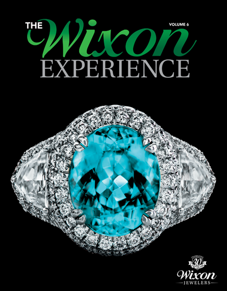 The Wixon Experience 2018 Cover Image