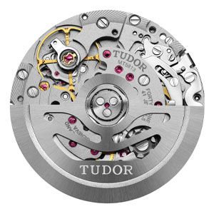Inside of a TUDOR watch
