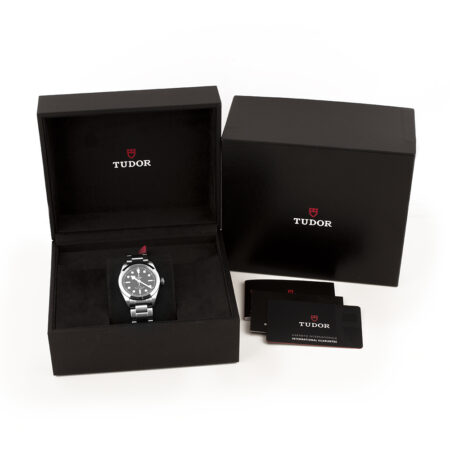 Tudor Box and Papers