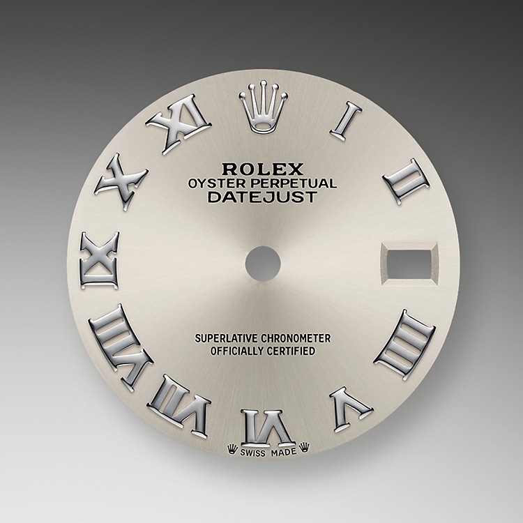 silver_dial-oystersteel_and_white_gold-51075_g_28.jpg Rolex Silver Dial