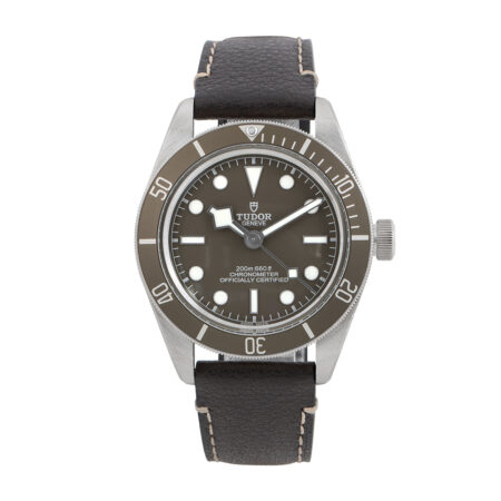 Tudor Black Bay 58 925 (79010SG)