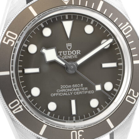 Tudor Black Bay 58 925 Dial