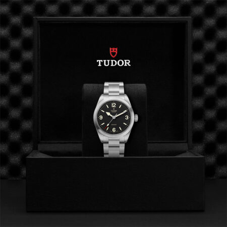 Tudor Ranger Steel