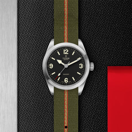 Tudor Ranger in MN