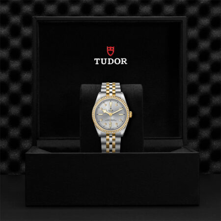 Tudor Black Bay