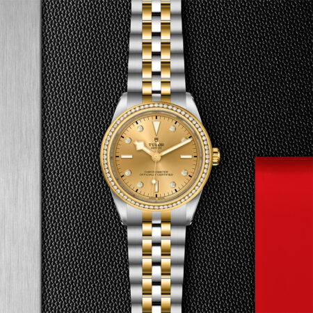 Tudor Black Bay S&G