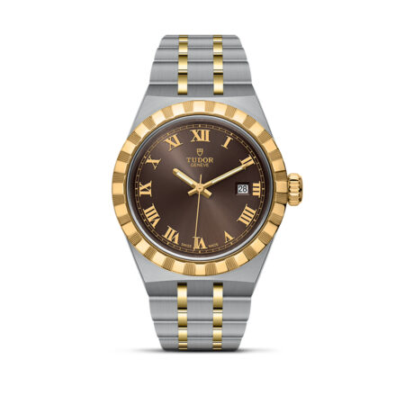 Tudor Royal Brown Dial