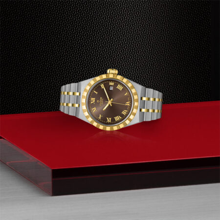 Tudor Steel and Gold Bracelet