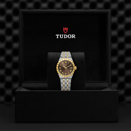 Tudor Steel and Gold Royal