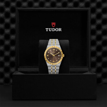Steel and Gold Tudor