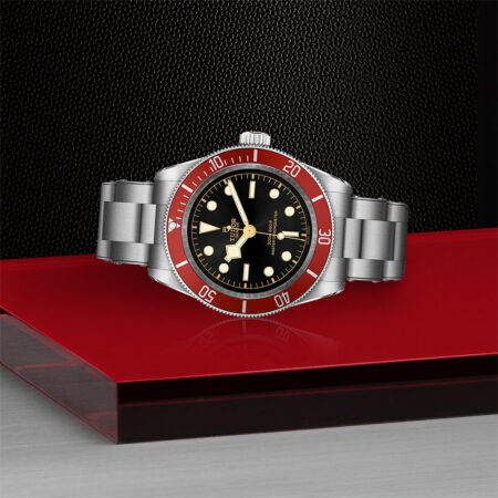Tudor Burgundy
