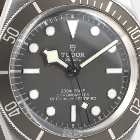 Tudor Black Bay 58 925 (79010SG)