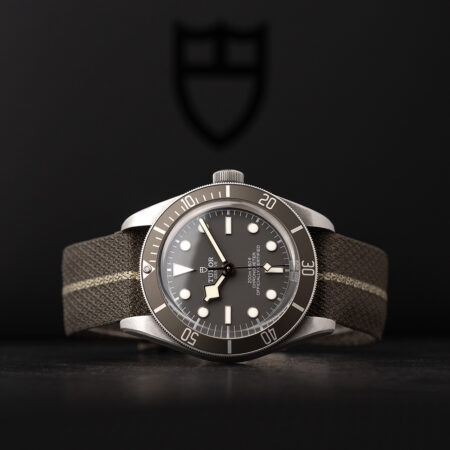 Tudor Black Bay 58 925 (79010SG)