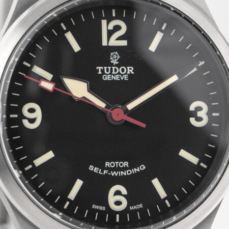 Tudor Ranger (79910)