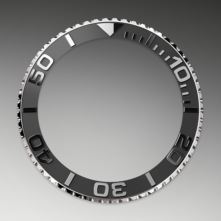 bidirectional_rotatable_bezel-white_gold-m226659-0002.png Rolex m226659-0002 Bezel