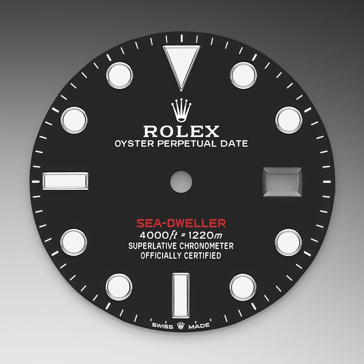 black_dial-oystersteel-m126600-0002.png Rolex m126600-0002 Dial