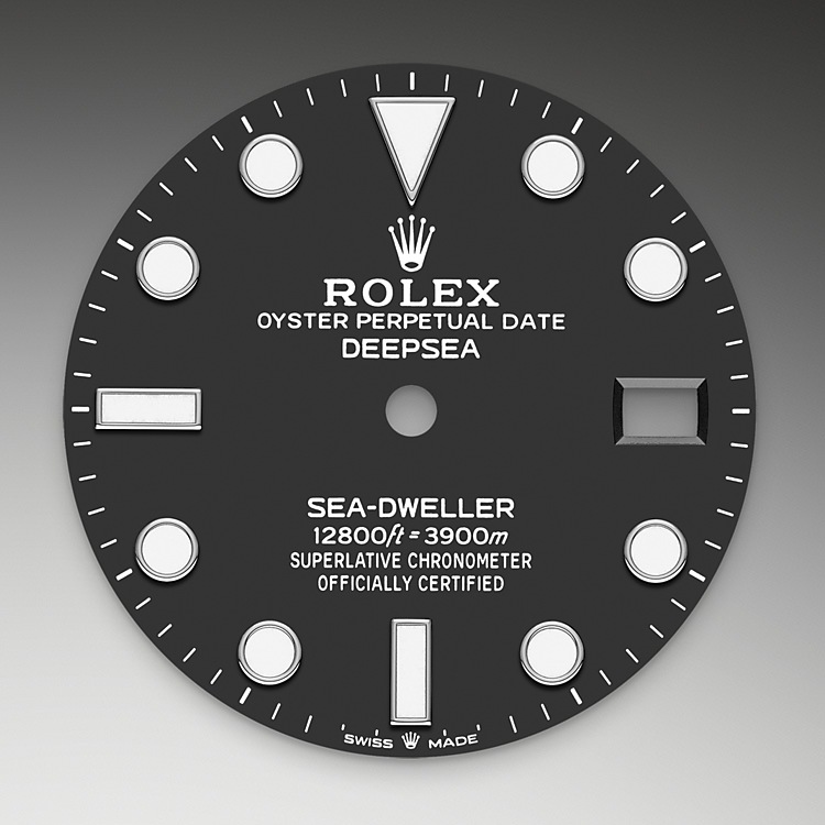 black_dial-oystersteel-m136660-0004.png Rolex m136660-0004 Dial