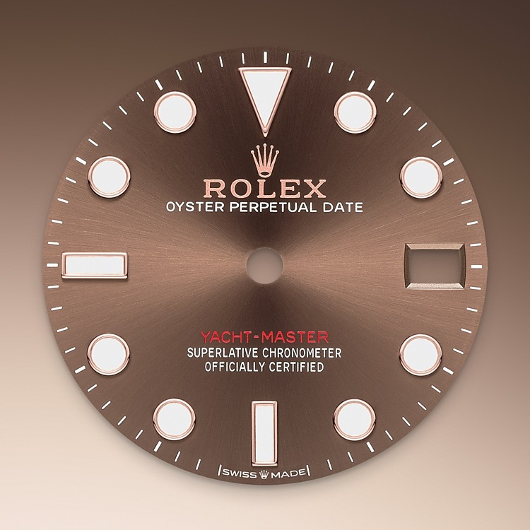 chocolate_dial-everose_rolesor-m268621-0003.png Rolex m268621-0003 Dial
