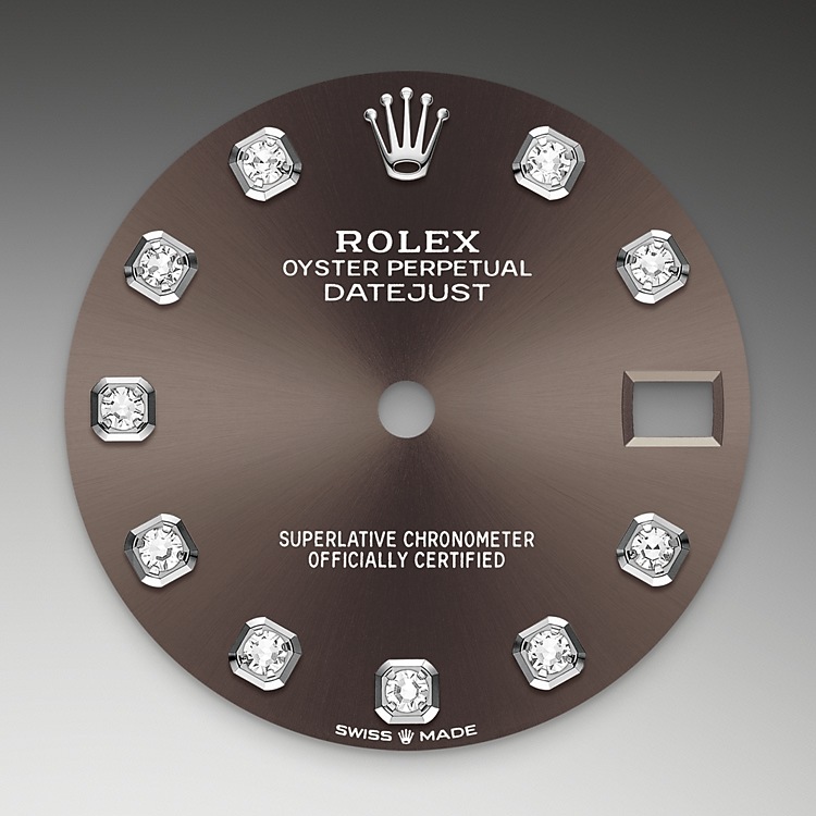 dark_grey_dial-white_gold-m278289rbr-0006.png Rolex m278289rbr-0005 Dial