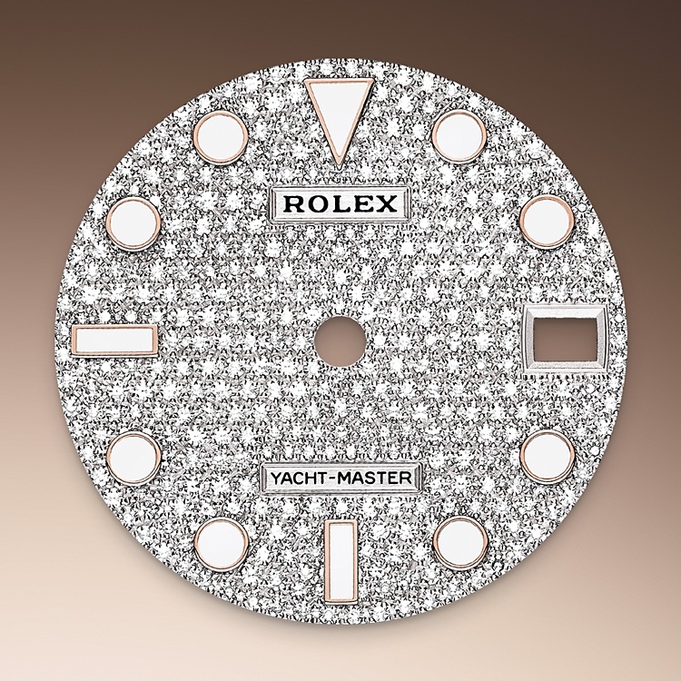 diamond-paved_dial-everose_gold-m268655-0019.png Rolex m268655-0019 Dial