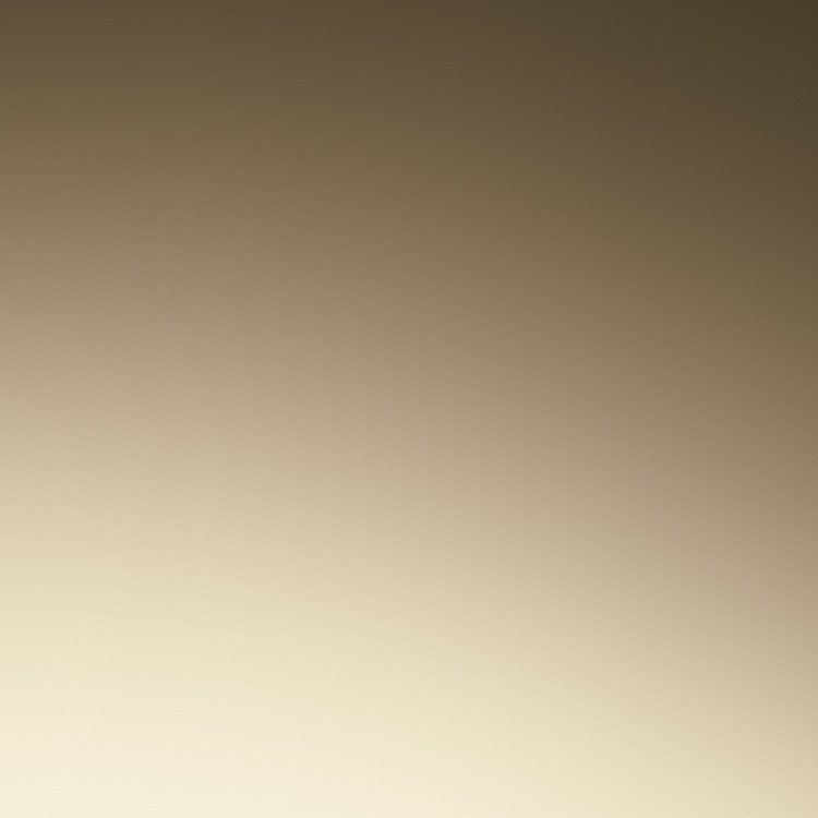 diamond-set_bezel-yellow_gold-m228398tbr-0036.png Rolex m228398tbr-0036 bezel