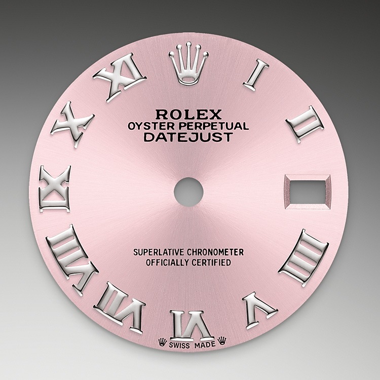 pink_dial-oystersteel-m279160-0013.png Rolex m279160-0013 Dial